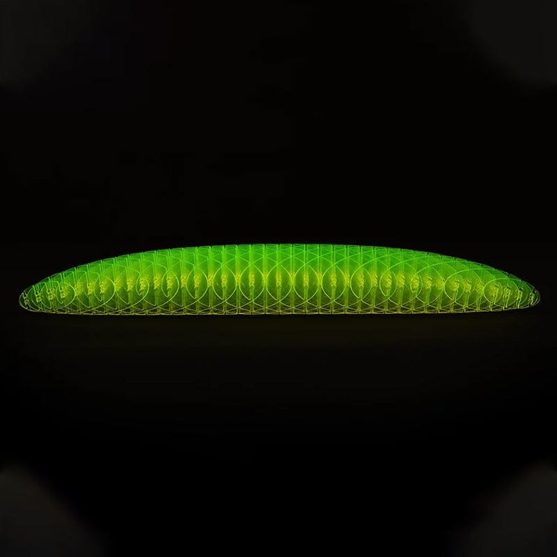 WormFidget™ mänguasi