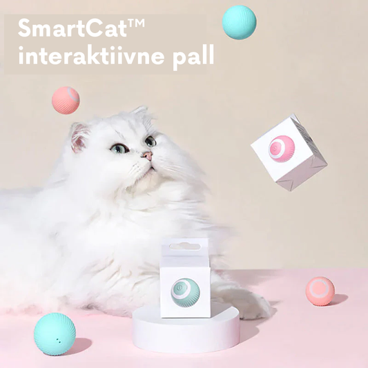 SmartCat™ interaktiivne pall