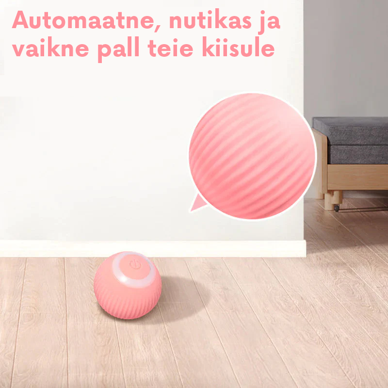 SmartCat™ interaktiivne pall