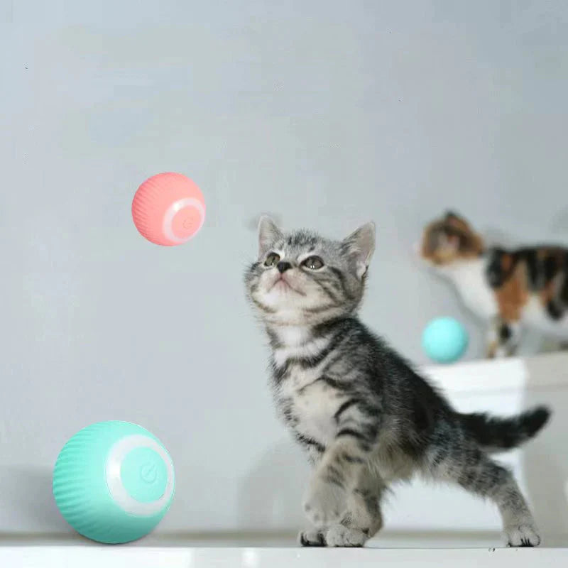 SmartCat™ interaktiivne pall