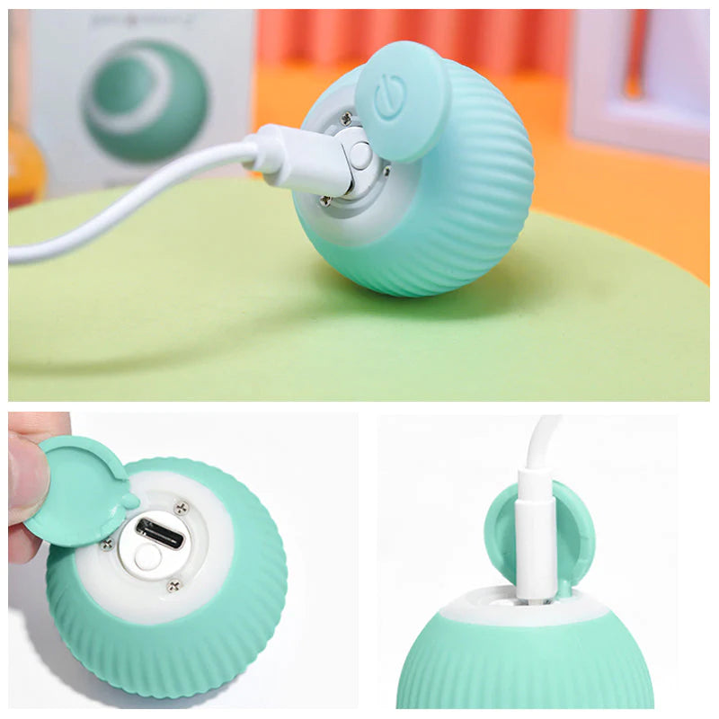 SmartCat™ interaktiivne pall