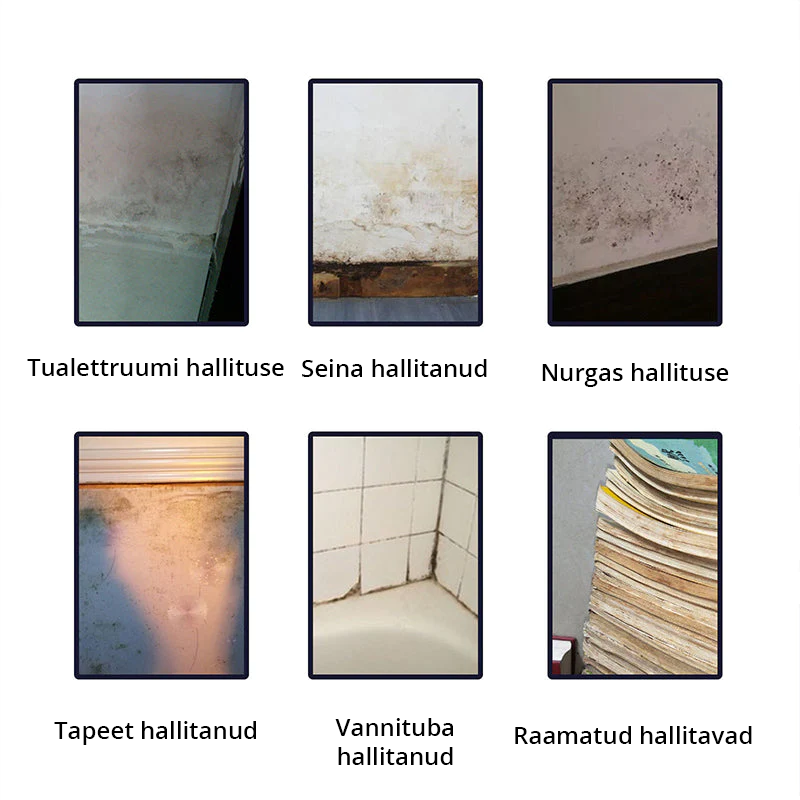 Hallituseemaldaja