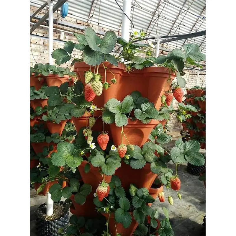 PlantUp™ taimepotid (3 tk)