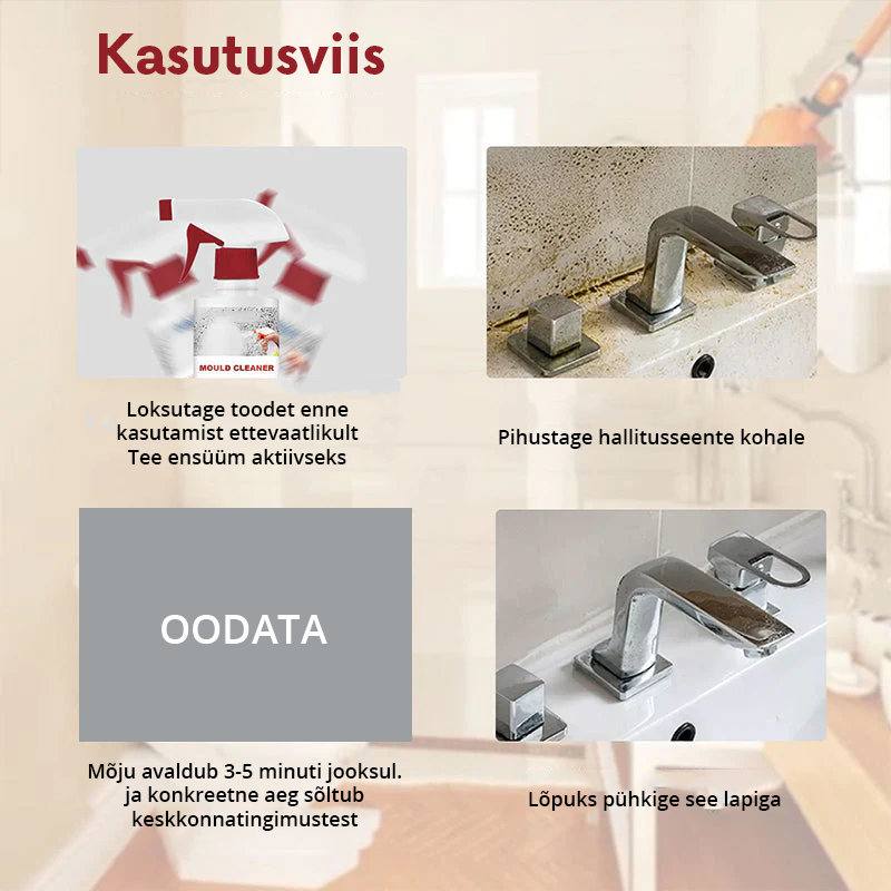 Hallituseemaldaja