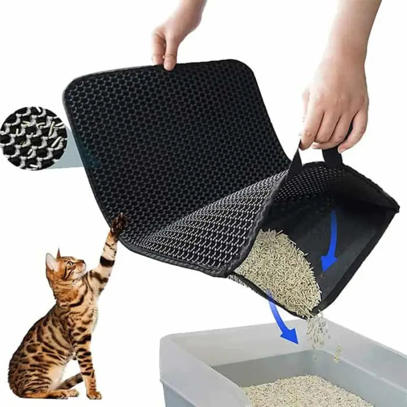 Lemmikloomade liivamatt